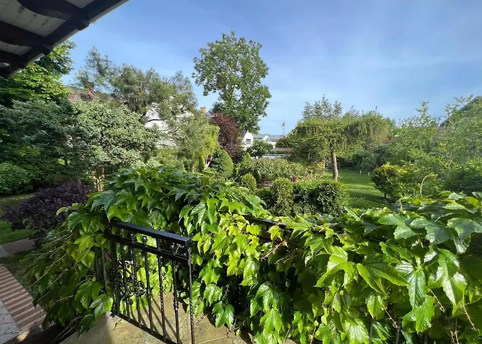 With Sauna, Right On The 尤斯托尼莫斯基